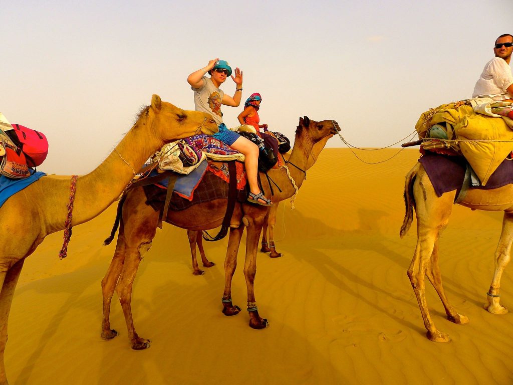 Camel Safari Budget Tours in Rajasthan